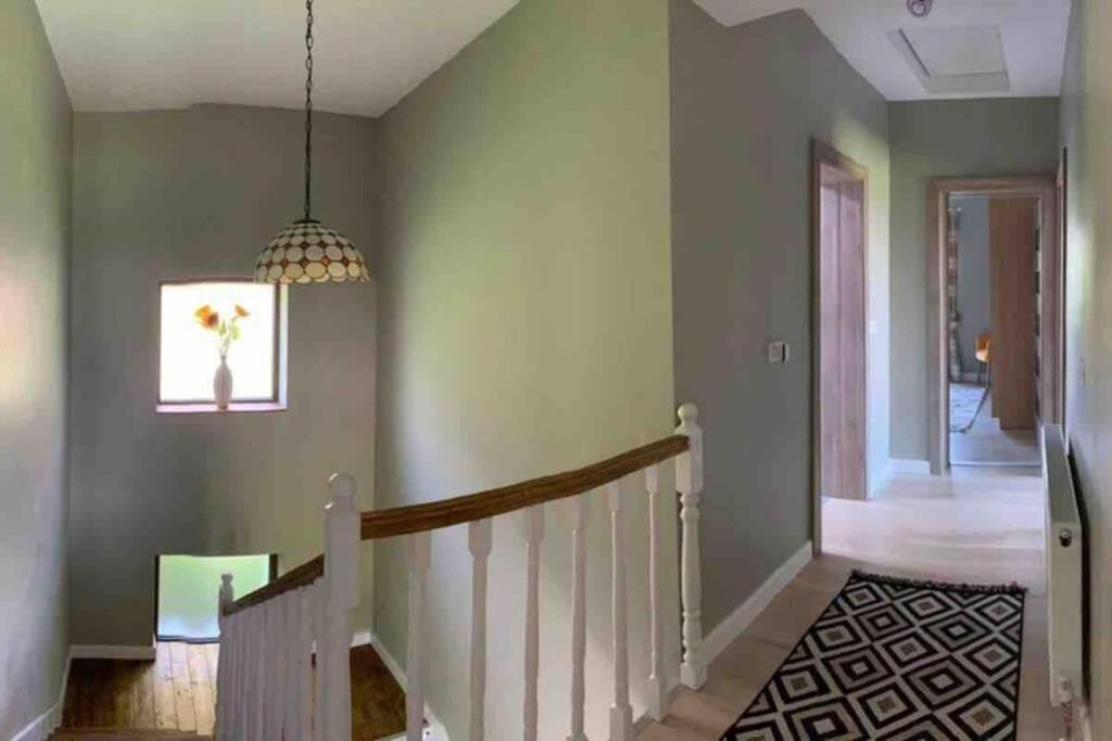 Bod Casa Andreea. Cheerful 4-Bedroom Villa المظهر الخارجي الصورة